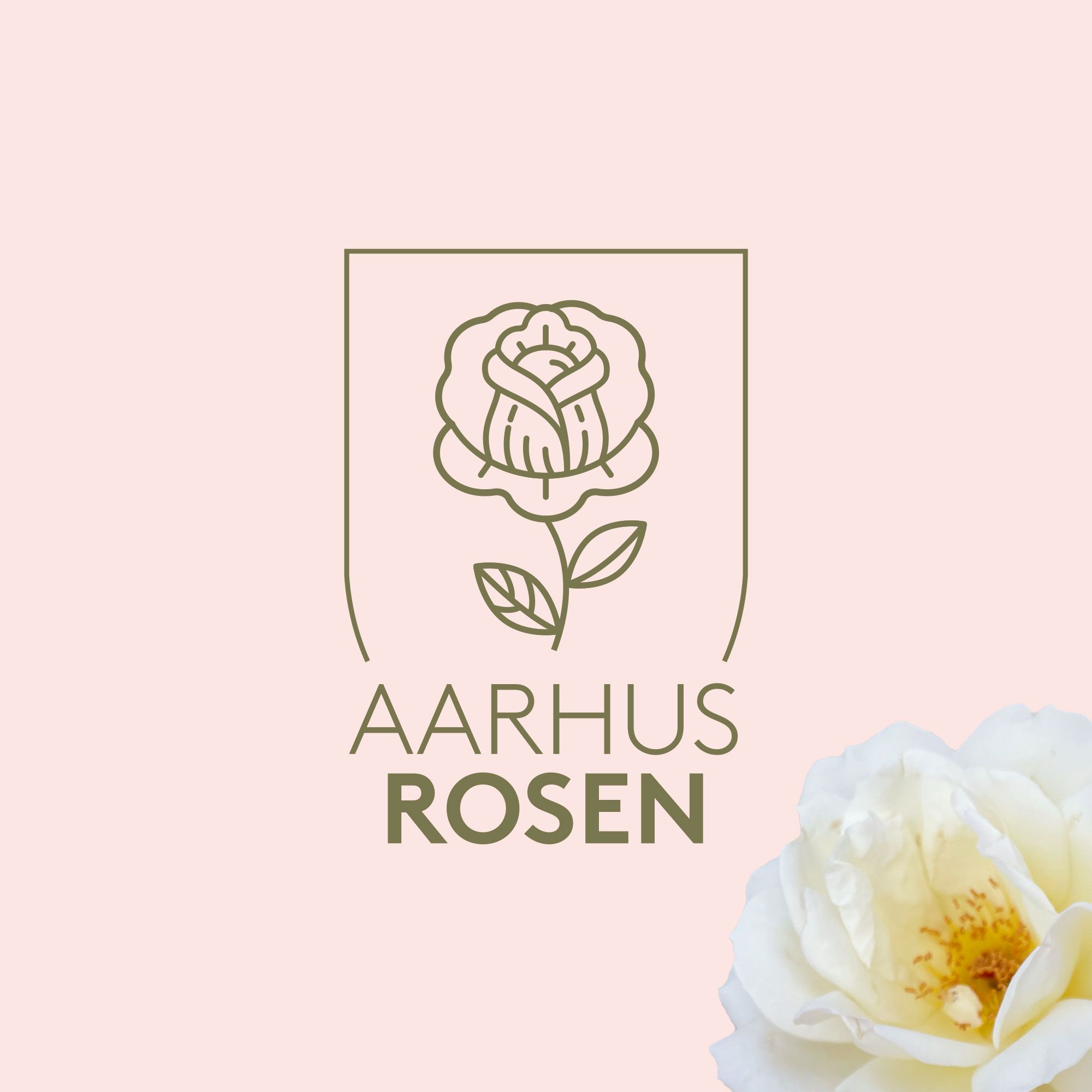 Aarhus rosen logo visuel identitet